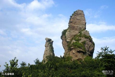 台州桃渚风景名胜区旅游攻略 之 孔雀啄绿