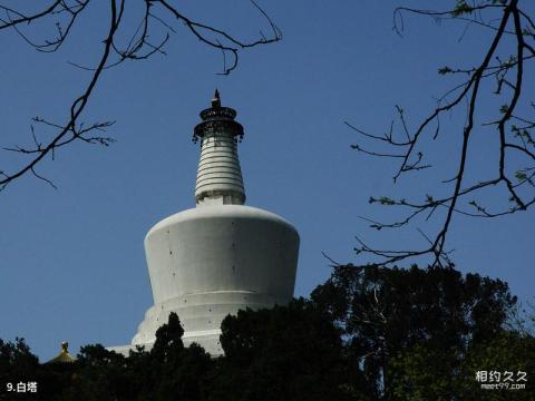 北京北海公园旅游攻略 之 白塔