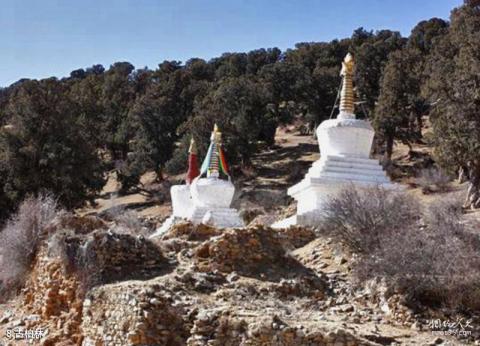 拉萨热振寺旅游攻略 之 古柏林