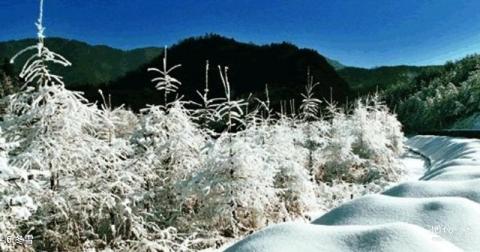 安康市千家坪森林公园旅游攻略 之 冬雪