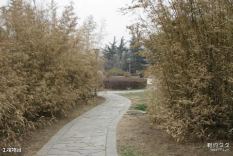 中科院北京植物园旅游攻略 之 植物园