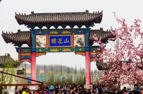 滨州邹平樱花山风景区旅游攻略 之 邹平樱花山