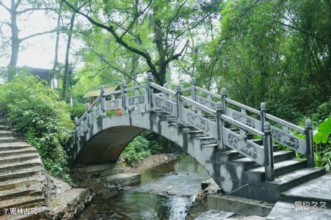 桂林漓江逍遥湖景区旅游攻略 之 密林古风