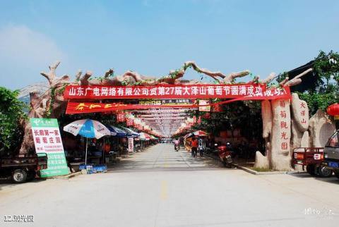 平度大泽山风景区旅游攻略 之 观光园