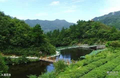 临沂茶山旅游区旅游攻略 之 莲花池