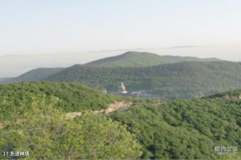 镇江茅山风景区旅游攻略 之 东进林场