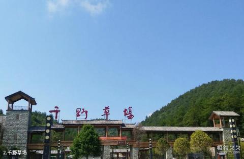 重庆石柱千野草场旅游攻略 之 千野草场