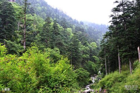 陕西长青国家级自然保护区旅游攻略 之 夏景