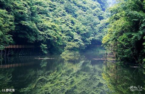 房县野人谷地质公园（神农峡）旅游攻略 之 野花荡