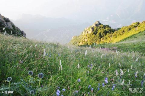 北京白草畔自然风景区旅游攻略 之 白草畔