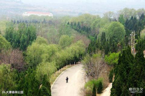 山西昔阳大寨景区旅游攻略 之 大寨森林公园