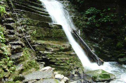 湘西古丈栖凤湖风景区旅游攻略 之 登山路