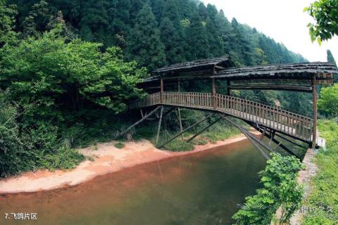 习水国家森林公园旅游攻略 之 飞鸽片区