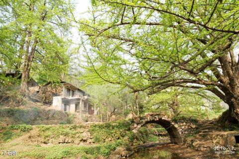 盘县古银杏风景区旅游攻略 之 石桥