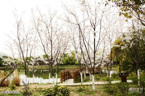 上海顾村公园旅游攻略 之 植物观赏园