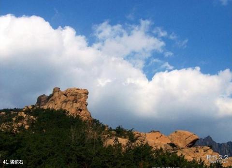 青岛崂山景区旅游攻略 之 骆驼石