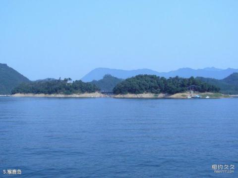 黄山太平湖风景区旅游攻略 之 猴鹿岛