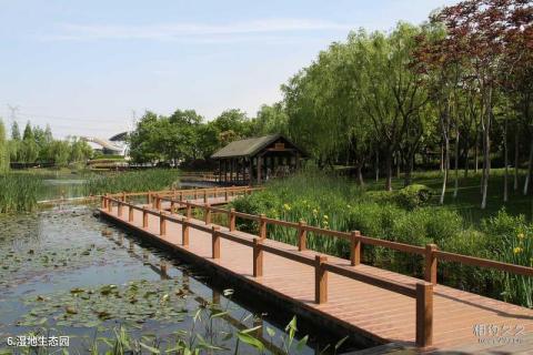 上海闵行体育公园旅游攻略 之 湿地生态园