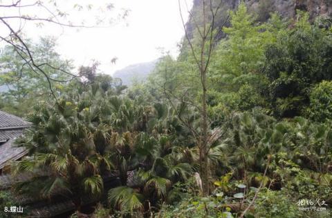 阳朔蝴蝶泉旅游景区旅游攻略 之 蝶山