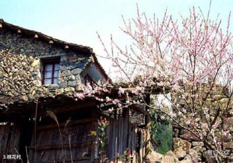 宜昌西陵峡口风景区旅游攻略 之 桃花村