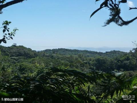 马达加斯加迪戈旅游攻略 之 琥珀山国家公园