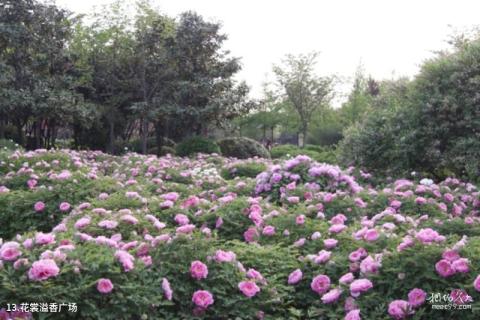 洛阳市中国国花园景区旅游攻略 之 花裳溢香广场