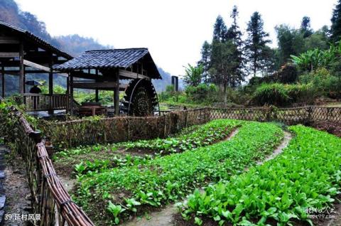 婺源思溪延村旅游攻略 之 延村风景