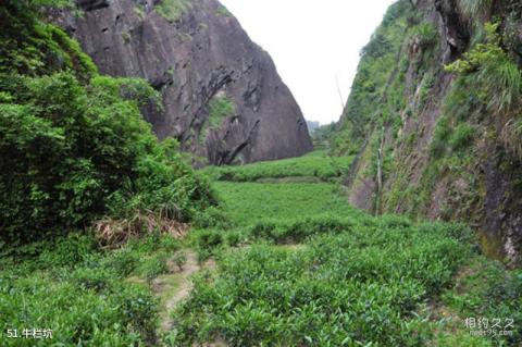 武夷山风景区旅游攻略 之 牛栏坑