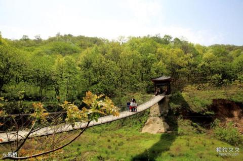 驻马店金顶山风景区旅游攻略 之 吊桥