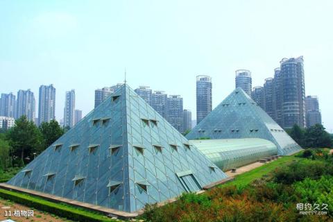天津塘沽泰丰公园旅游攻略 之 植物园