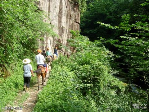 云南茶马古道旅游攻略 之 普洱茶马古道