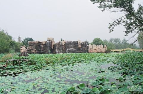 济宁微山湖风景名胜区旅游攻略 之 风景