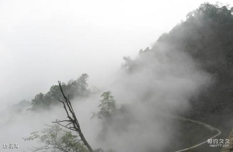 什邡蓥华山风景区旅游攻略 之 雾海