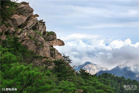 临沂蒙山旅游区旅游攻略 之 群龟探海