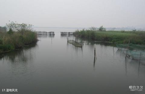 下渚湖国家湿地公园旅游攻略 之 湿地风光