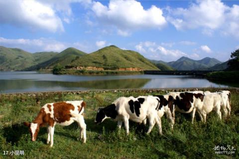 南山牧场大草原旅游攻略 之 小昆明