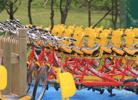 锦州世界园林博览会旅游攻略 之 自行车