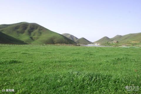 南山牧场大草原旅游攻略 之 紫阳峰