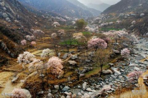 赞皇县棋盘山景区旅游攻略 之 杏仙庙