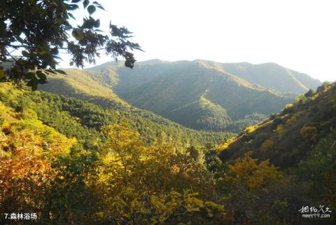 锦州大石湖风景区旅游攻略 之 森林浴场