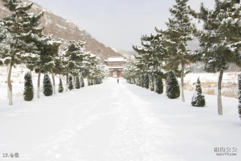 烟台大基山旅游攻略 之 冬景