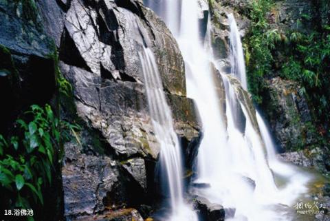 肇庆鼎湖山风景区旅游攻略 之 浴佛池