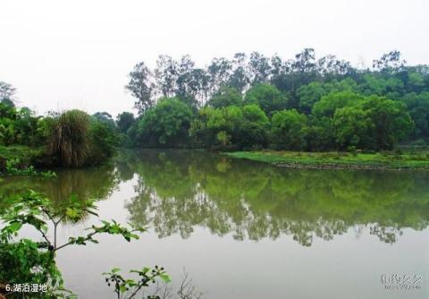 良凤江国家森林公园旅游攻略 之 湖泊湿地