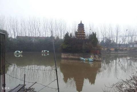扬中国土公园旅游攻略 之 池水