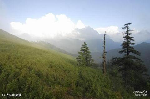 自然保护区旅游攻略 之 光头山夏景