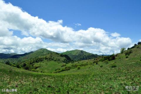 安康飞渡峡旅游攻略 之 高山草甸