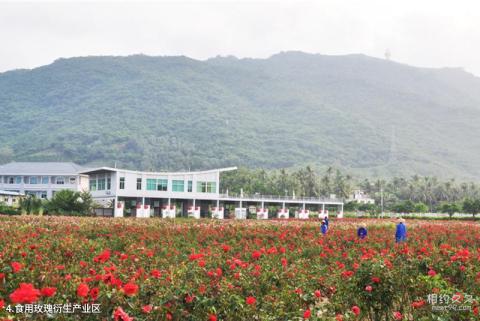 三亚亚龙湾国际玫瑰谷旅游攻略 之 食用玫瑰衍生产业区