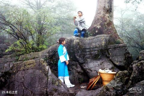 张家界天门山旅游攻略 之 木石之恋