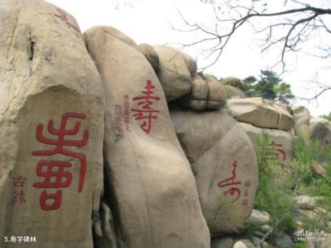 山海关长寿山风景旅游区旅游攻略 之 寿字碑林