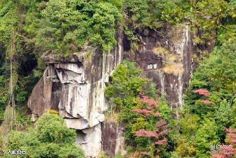 尤溪汤川天下侠谷景区旅游攻略 之 人面奇石